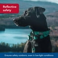 thumbnail image 4 of Collar para perro Coastal K-9 Explorer reflectante ajustable 1.6x25-36 cm, 4 of 7