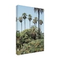 thumbnail image 4 of Trademark Fine Art Shot by Clint Collectors Garden Canvas Wall Art, 4 of 4