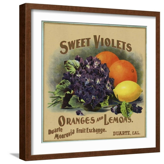 Art.com Sweet Violets Brand - Duarte, California - Citrus Crate Label Art Print by Lantern Press, Brown Frame Wall Art, 21" x 21"