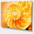 thumbnail image 2 of Coque de Nautilus Jaune, 2 of 3