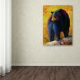 thumbnail image 2 of Trademark Fine Art 'Checking Smorg' Canvas Art by Marion Rose, 2 of 3