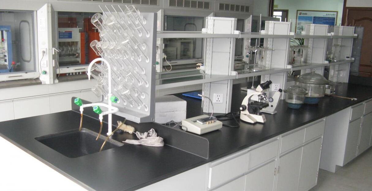 Laboratory Singlesided Removable Drip Rack 27 Pegs Drying Rack High