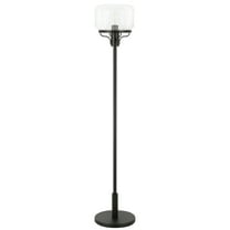 Evelyn&Zoe Tatum Globe & Stem Floor Lamp with Glass Shade, Blackened Bronze/Seeded