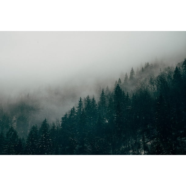 Canvas Print Forest Landscape Mist Fog Mysterious Woods Forest Stretched Canvas 10 X 14 Walmart Com Walmart Com