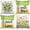 Green Yellow, variant on Spring Summer Floral Mason Jar Home Sweet Home Throw Pillow Covers Set of 4, 18x18 inch Bloom with Grace Farmhouse Stripes Seasonal Decorative Cushion Case for Home Decoration G697-18