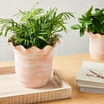 thumbnail image 3 of FRAÎCHE Spring Large Terracotta Planter Pot, 10-in, 3 of 5