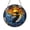 Acrylic 3.5 Inch, variant on Nature Marine Sea Slug Suncatcher Hanging Ornament Present Gift Glass