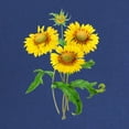 thumbnail image 2 of CafePress - Gaillardia Or Sunflowers By Redoute Maternity Dark - Maternity Dark T-Shirt, 2 of 3