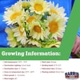 thumbnail image 2 of Harris Seeds Sunflower Pro Cut White Lite F1, Non-GMO Hybrid, 50 Count, 2 of 7