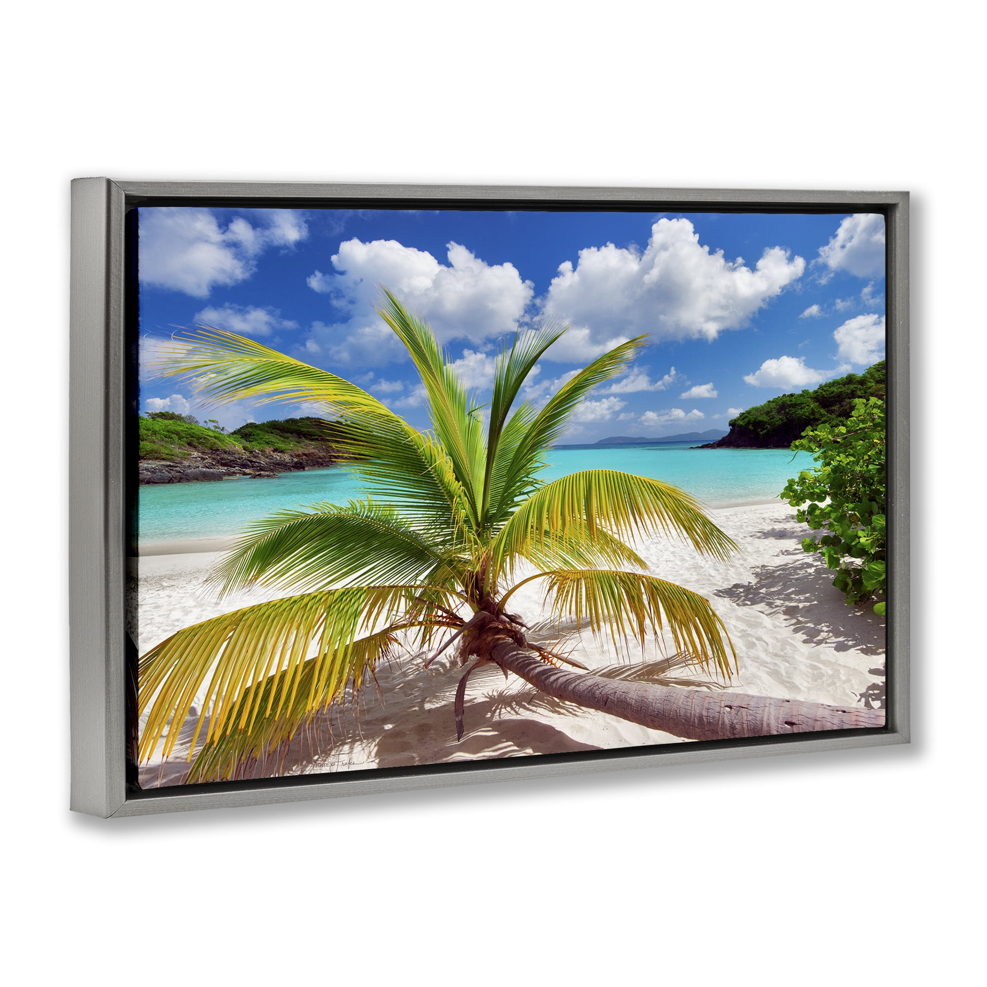 Stupell Industries Palm Tree Across Beach Coastal Photography Gray Floater Framed Canvas Art Print Wall Art, 25 x 17