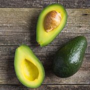 Brighter Blooms - Cold Hardy Avocado Tree, 4-5 ft. - No Shipping to AK, AZ, HI, OR