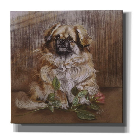 Epic Graffiti 'Tibetan Spaniel 1' by Barbara Keith, Canvas Wall Art, 26"x26"