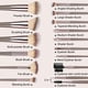 thumbnail image 2 of Juego de 1/20 brochas de maquillaje profesionales súper suaves para resaltar rubor, base, corrector, sombra de ojos, herramienta de belleza para mujeres, 2 of 6