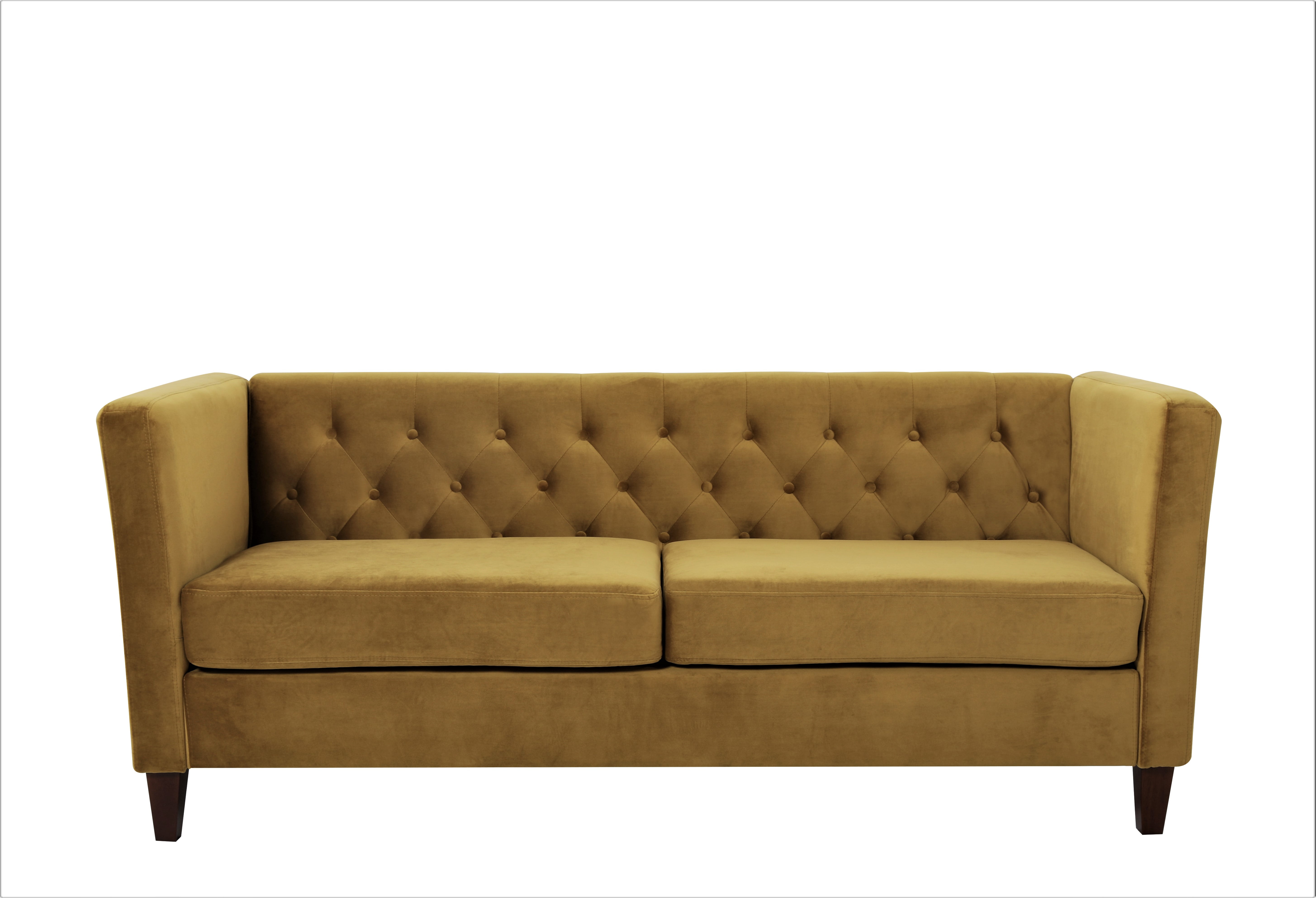 Lisette 73.3'' Velvet Square Arm Sofa