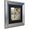 thumbnail image 2 of Trademark Fine Art "Piedmont IV" Canvas Art by Alan Blaustein, Black Matte, Silver Frame, 2 of 4
