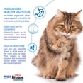 thumbnail image 5 of INABA Churu Bisque Hairball Control Lickable Wet Cat Topper, 1.05 oz Pouch, 5 Pouches, Tuna, 5 of 6