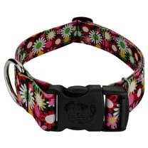 Country Brook Petz® 1 1/2 inch Deluxe Daisy Fields Dog Collar, Large