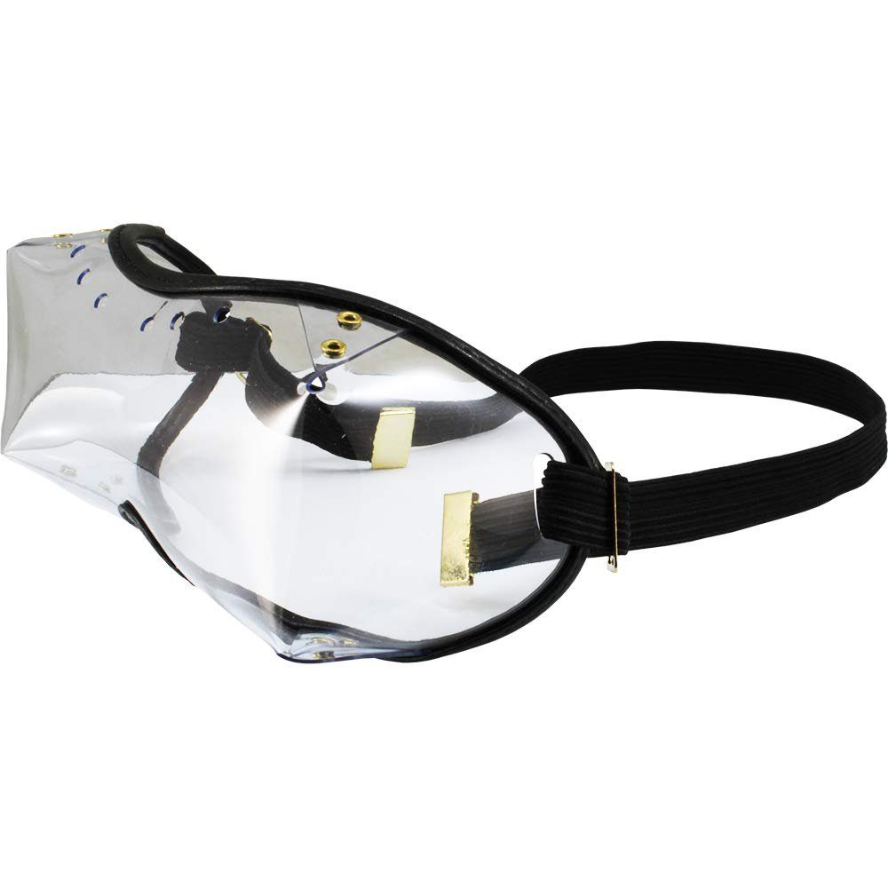 Birdz Swan OTG Over the Glasses Skydiving Goggles Fits Over Glasses