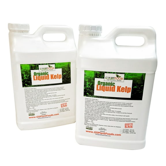 Organic Liquid Kelp Plant Fertilizer (5 Gallon) by GS Plant Foods | Omri Organic Listed Seaweed & Kelp Fertilizer Solution | Kelp Seaweed Plant & Vegetable Growth Concentrate for Gardens, Lawns & Soil