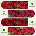 thumbnail image 2 of Artificial Flower Dark Red Rose 25pcs Real Looking Fake Roses w/Stem for DIY Wedding Bouquets Centerpieces Arrangements Party Baby Shower Valentines Day Christmas Tree Decorations, 2 of 5
