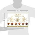 thumbnail image 5 of Lindt CONNAISSEURS Winterland Assorted Chocolate Gift Box, 180 Grams, 5 of 5