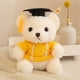 thumbnail image 5 of Decoración del hogar, decoración de la habitación, decoración de la pared Sudadera con capucha Oso de graduación Muñeco de oso de graduación Regalo de cumpleaños Lindo oso de graduación Juguete de reg, 5 of 5