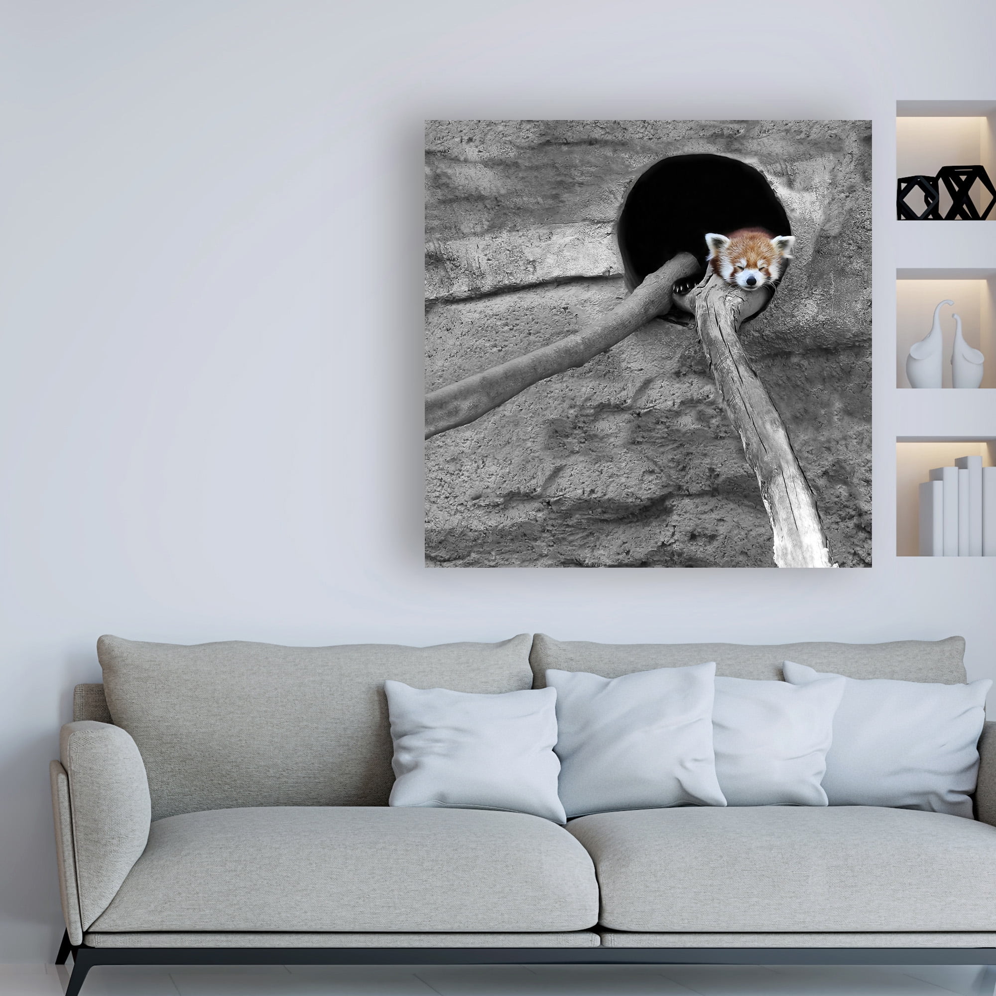 Trademark Fine Art 'Red Panda Sleeping' Canvas Art by Brooke T. Ryan