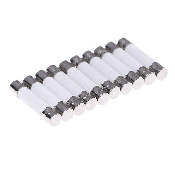 10 Pcs Microwave Ceramic Fuse Electric 20A 250V Home Supplies DIY 6x30mm