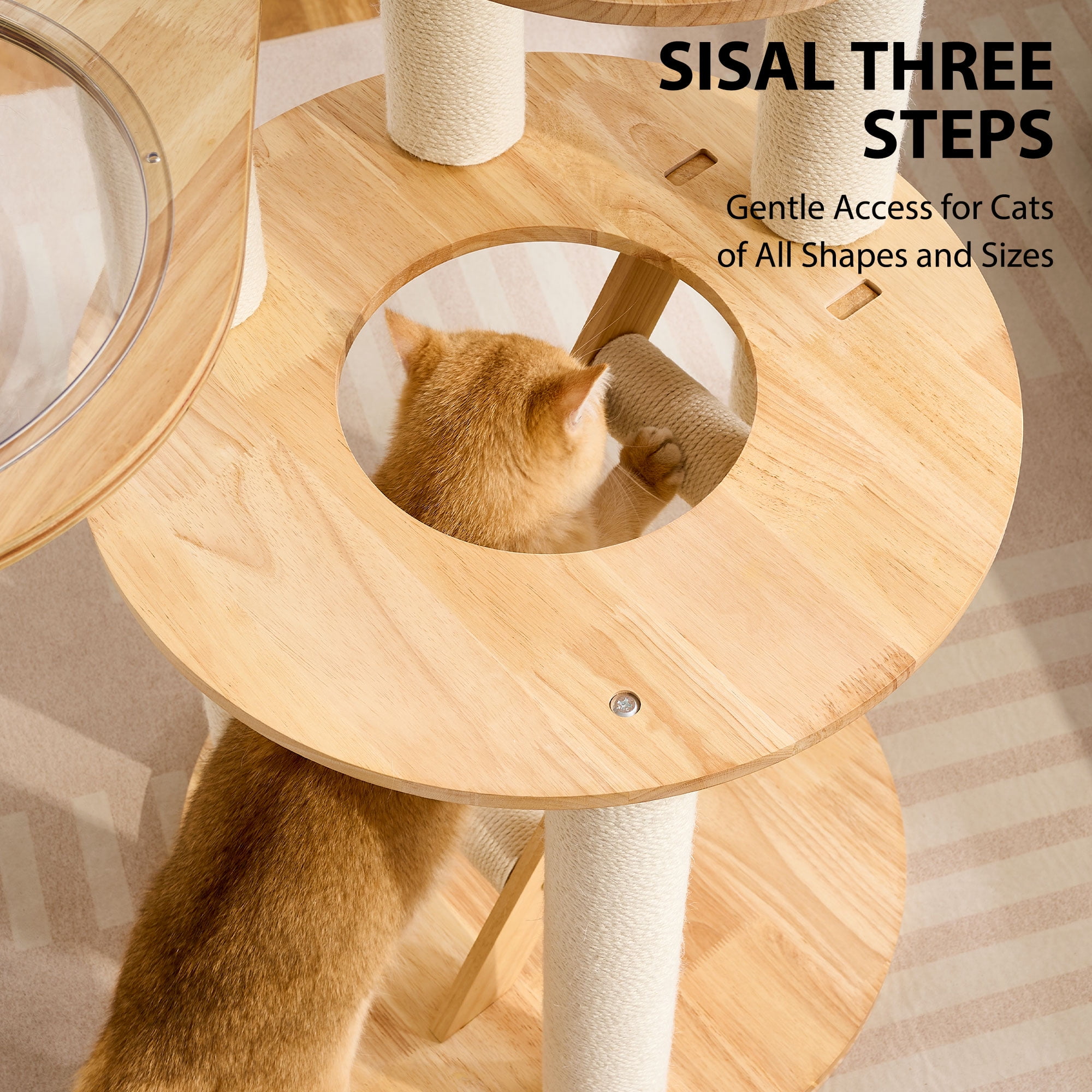 HITTITE Solid Wood Cat Tree Tower with Scratching Post, 61 Inches Tall Cat Towers with Capsule and Condo, Modern Cat Tower with Climbing Ladder and Removable Top Bed for Indoor Cats.