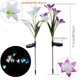 thumbnail image 5 of Paquete de 4 luces solares de jardín al aire libre impermeables multicolor cambiantes LED luces solares de flores con lirio más grande para patio, patio, camino, balcón, decoración, 5 of 5