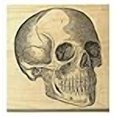 thumbnail image 3 of P30 Skull Rubber Stamp, 3 of 3