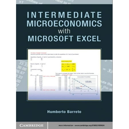 Intermediate Microeconomics with Microsoft Excel -