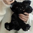 thumbnail image 4 of Lindo Prime Cat KUKI cojín Kaki alemán rizado negro gato muñeca Internet celebridad juguete regalo de cumpleaños, 4 of 5