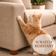 Liz Jordan Hill Brown Upholstery Fabric by the Yard, AC Daytona Sandbar 102, Aquaclean, Stain Resistant, Pet Friendly, Furniture & DIY Use, 1 Yard