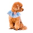 thumbnail image 3 of Collier pour Chat Adorable Bandana en Dentelle Extensible pour Chiots et Chatons, 3 of 8