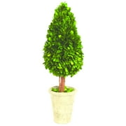 Everyday Elegance 22-inch, Green Preserved Boxwood Water Drop Topiary (Pack of 1)