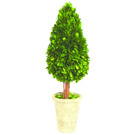 Everyday Elegance 22-inch, Green Preserved Boxwood Water Drop Topiary (Pack of 1)