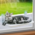 thumbnail image 1 of HAHDAXIA Perchoir de Fenêtre pour Chat Robuste Siège Hamac Durable pour Chats d'Intérieur Tapis Réversible Utilisation Toute l'Année Lit Pliable pour Bain de Soleil Gain de Place Lavable Supporte jusqu'à 40 lbs, 1 of 6