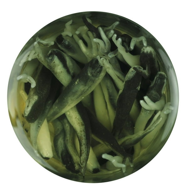 Live Bait Near Me Now