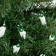 Northlight 35-Count Vert Mini Ensemble de Lumière de Noël, 7ft Fil Blanc – image 3 sur 5