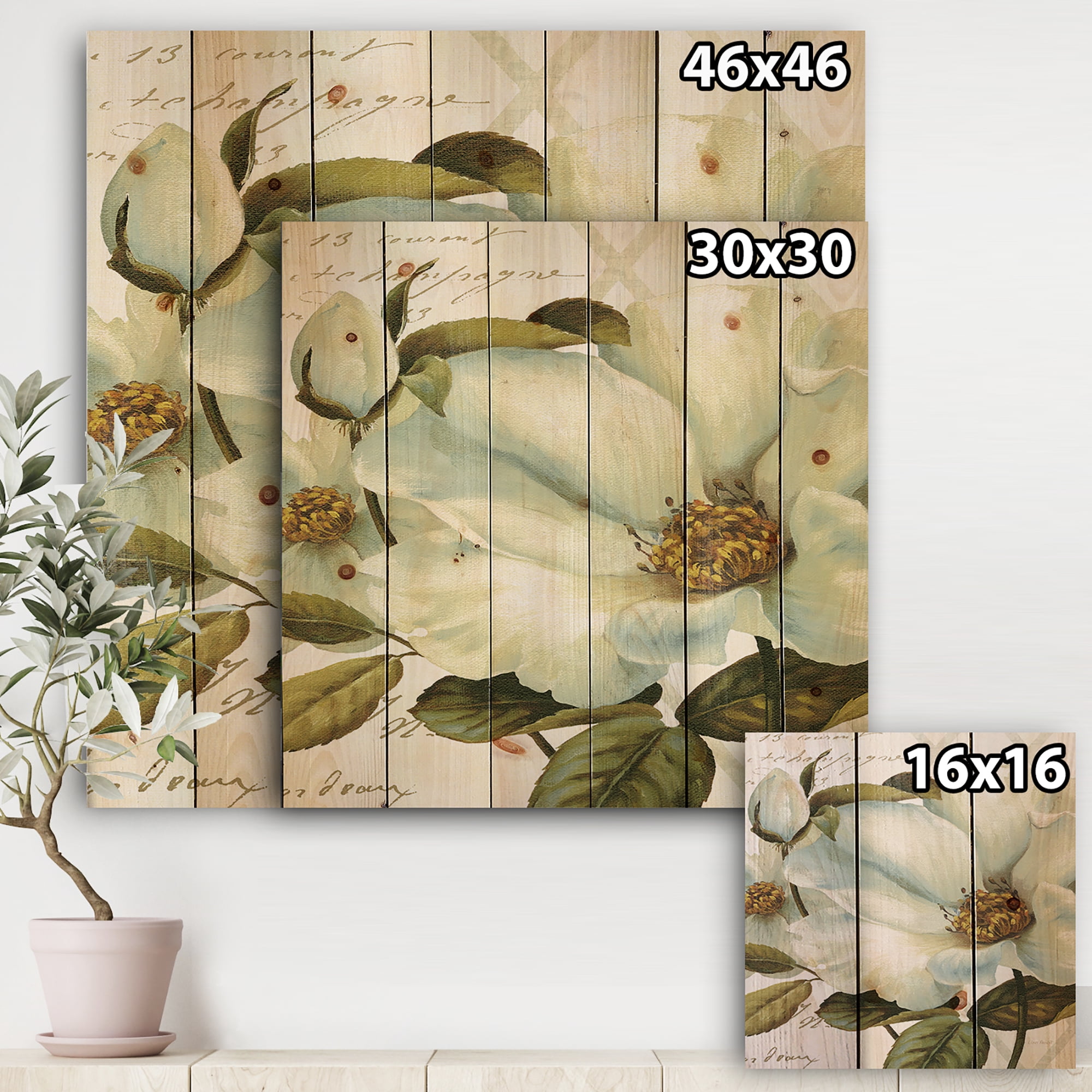 Designart 'Close Up Of White Blossoming Flower ' Modern Farmhouse Print on Natural Pine Wood