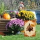 thumbnail image 5 of Bandera Del Jardín de Otoño, Calabaza Vertical de Doble Lado de Otoño Juegos de Bienvenida Bandera 45x30cm para Patio Acción de Gracias Decoración de Vacaciones, Decoraciones Al Aire Libre de Otoño, 5 of 6