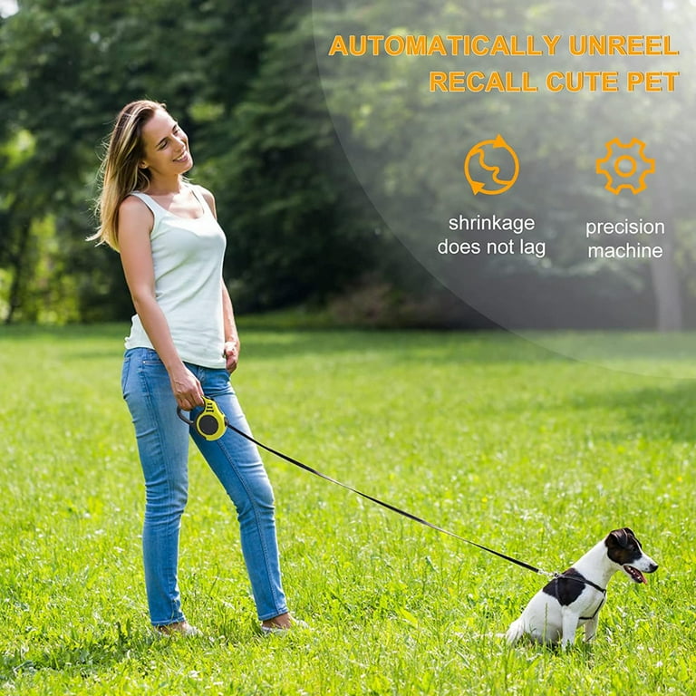 Flexi leash cheap attachments