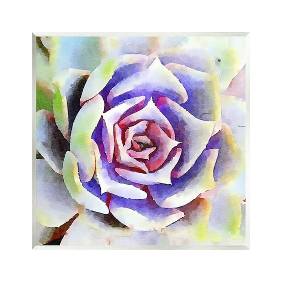 Stupell Industries Bold Succulent Watercolor Leaves Botanical & Floral Painting Unframed Art Print Wall Art