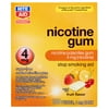 Rite Aid Nicotine Gum, Fruit Flavor, 4mg - 100 Pieces | Stop Smoking Aids