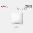 thumbnail image 4 of Cojín Decorativo Estadar Suave Ozzy Microfibra Concord, 4 of 4