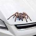 thumbnail image 7 of Walbest 1PC Scorpion Spider Lizard Car Sticker Scary Simulation Animal Bumper Door Decor Decal - 3D Personalized Car Stickers (Spider), 7 of 7