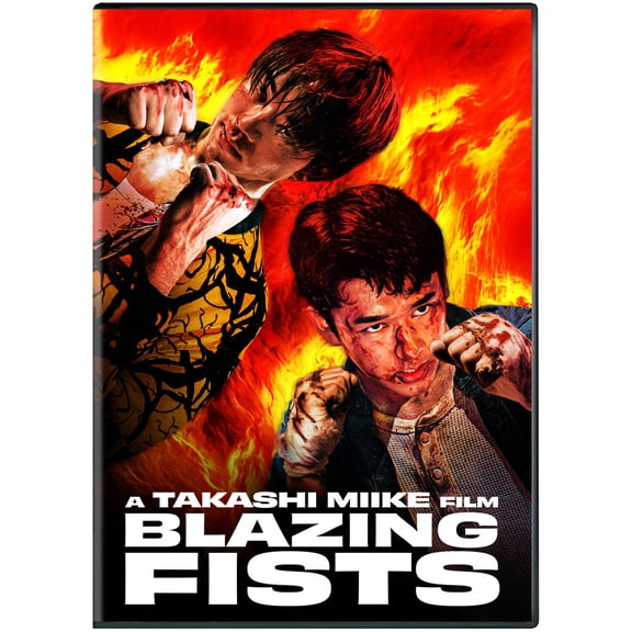 Well Go USA - Blazing Fists [DIGITAL VIDEO DISC]