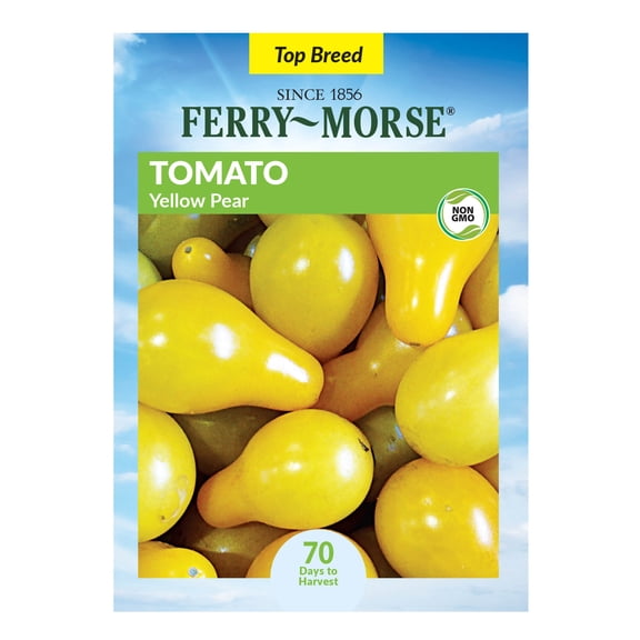 Ferry-Morse 150MG Tomato Yellow Pear Annual Vegetable Seeds, Full Sun