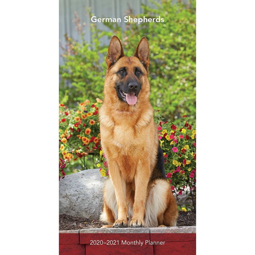 German Shepherd Two Year Pocket Planner 2020 Walmart Com Walmart Com